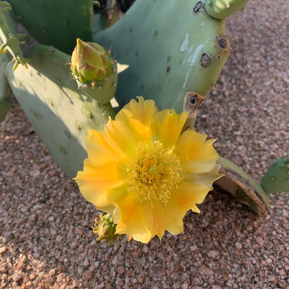 Meet your Posher, K - Picture 1 of 1